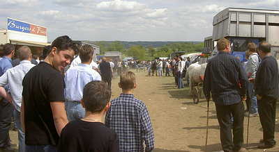 Watching the Trotting of the Ponies